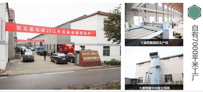 八大優(yōu)勢-大唐格雅